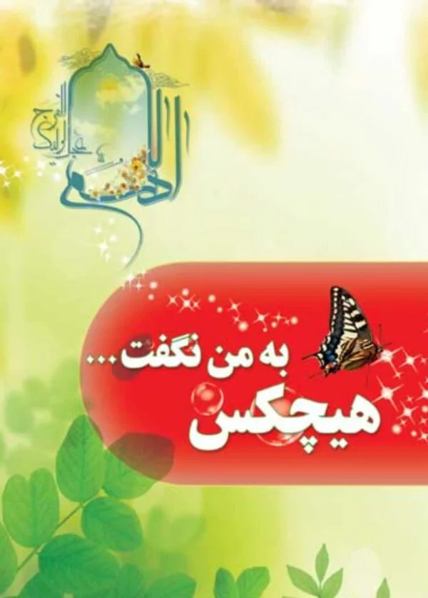 کتاب هیچ کس به من نگفت - تصویر 1